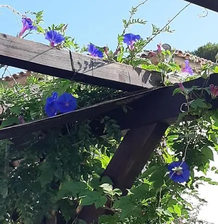 Casa Del Pietro Hotel *